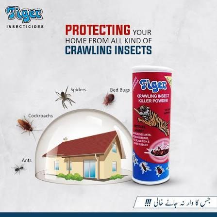 TIGER KILLER POWDER